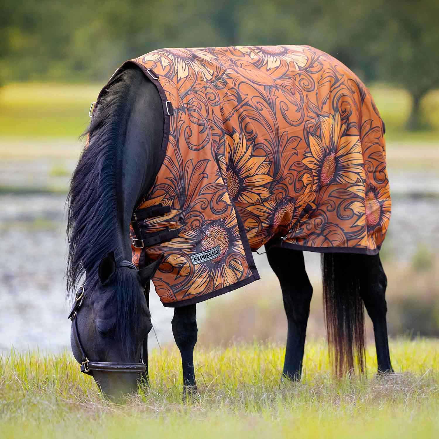 Jeffers Expression, vue dos, imperméable et respirant pour cheval en pâturage.