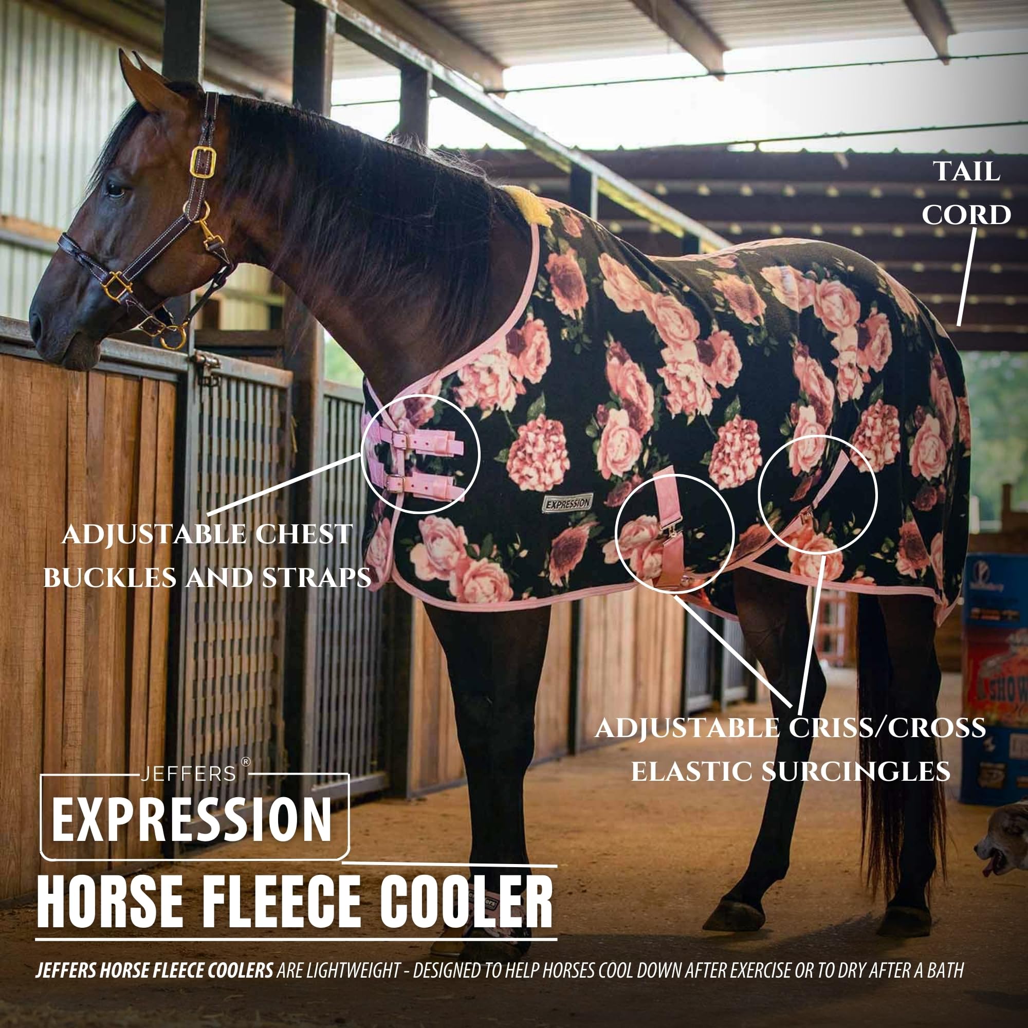 Jeffers Expression couverture polaire cheval refroidissement après compétition utile après effort.