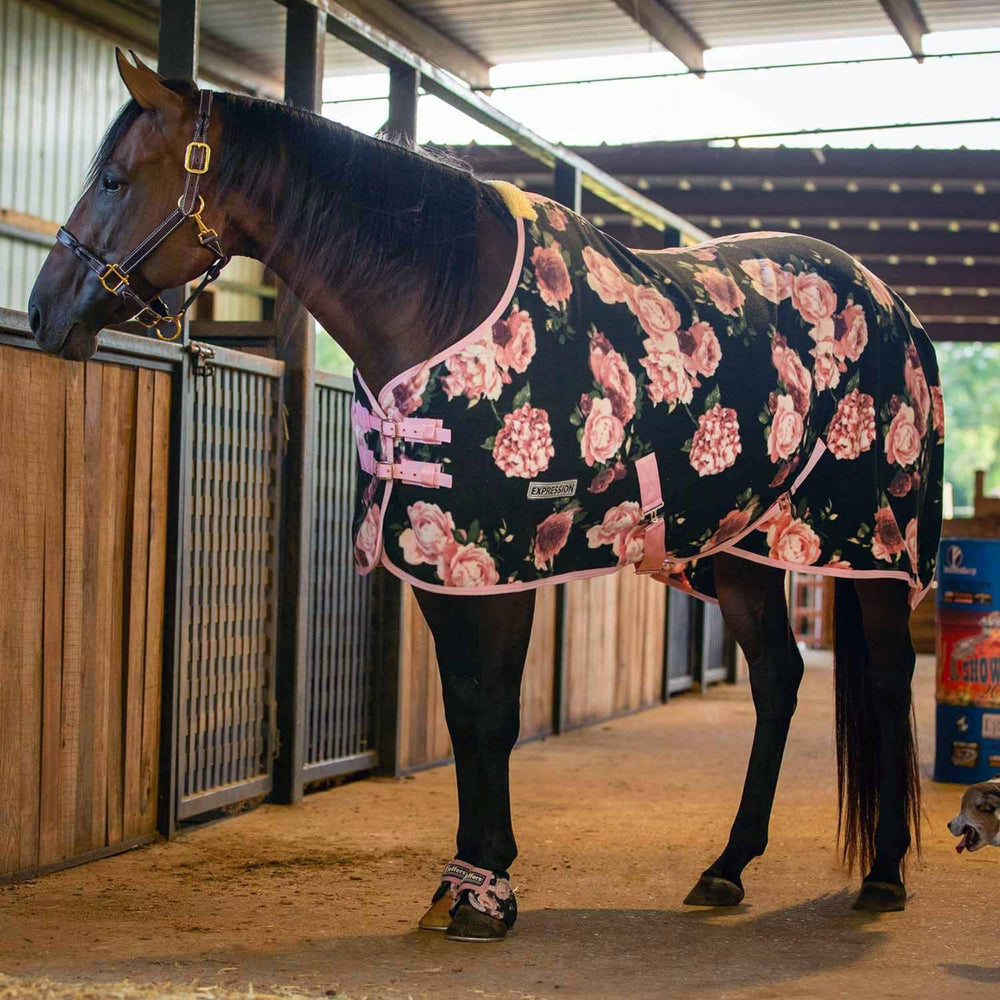Jeffers Expression cadeau idéal pour amateurs de chevaux et activités extérieures.