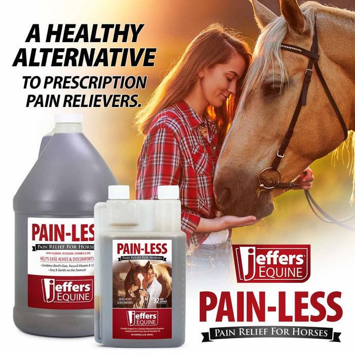 Jeffers Pain-Less – galon 1 : solution économique pour haras et plusieurs chevaux.