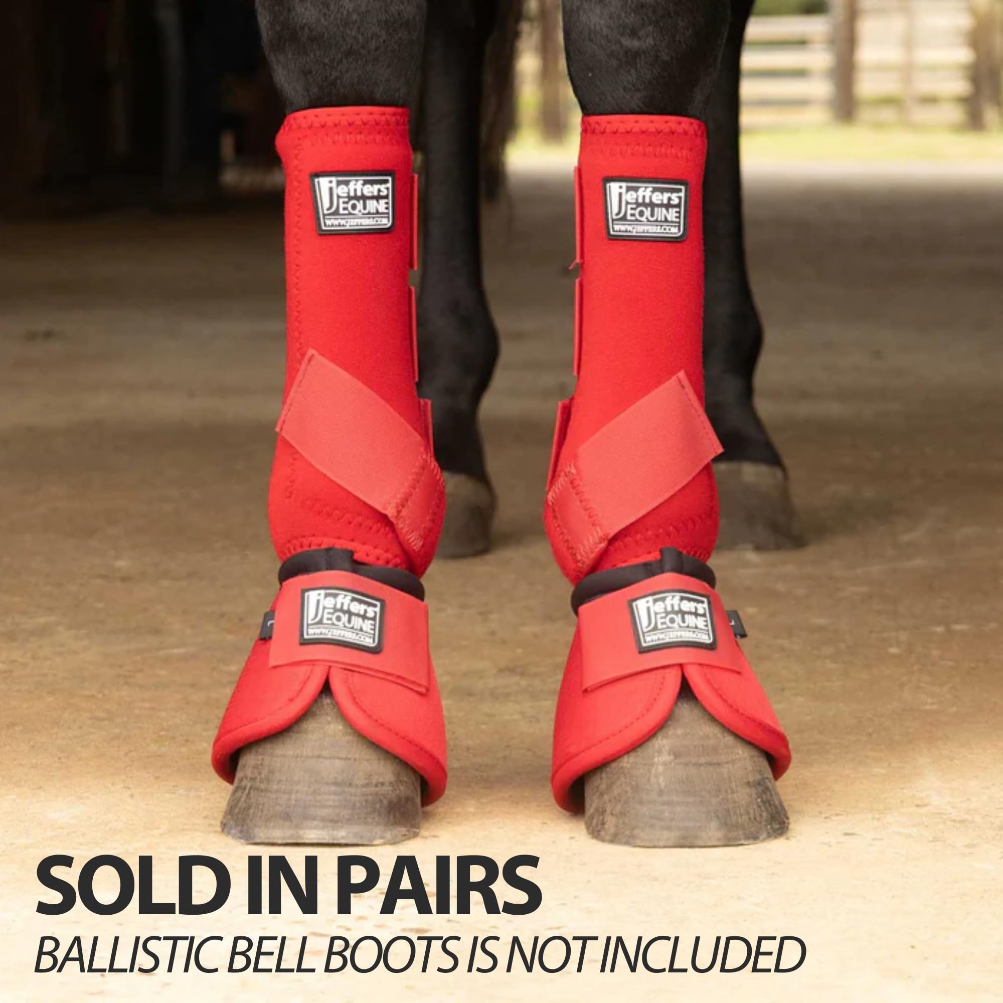 Utilisation polyvalente Jeffers pour dressage, saut et trail.