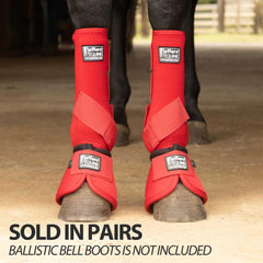 Utilisation polyvalente Jeffers pour dressage, saut et trail.
