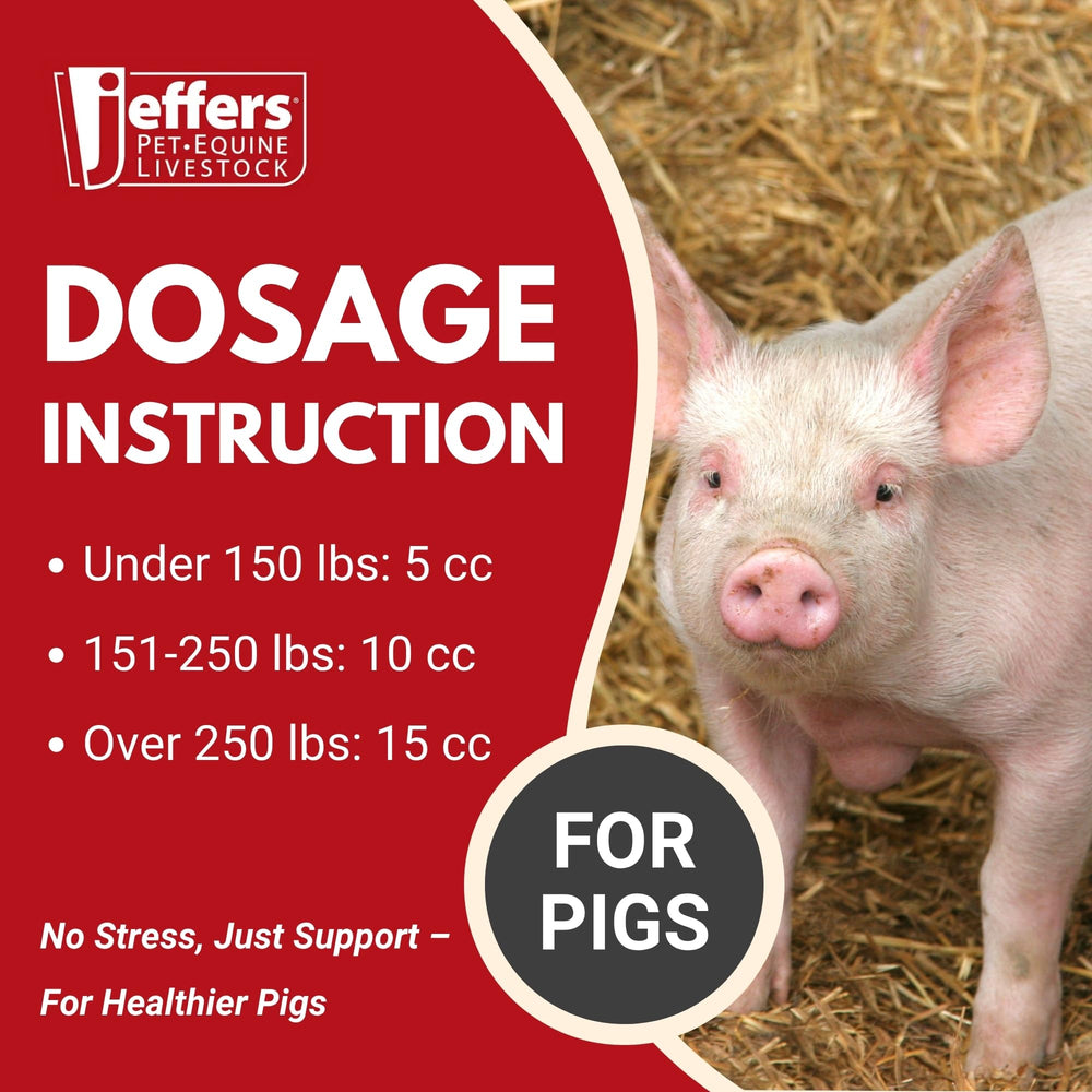 Etable et betes de ferme recevant Vita-Min Gel pour soutient digestif.