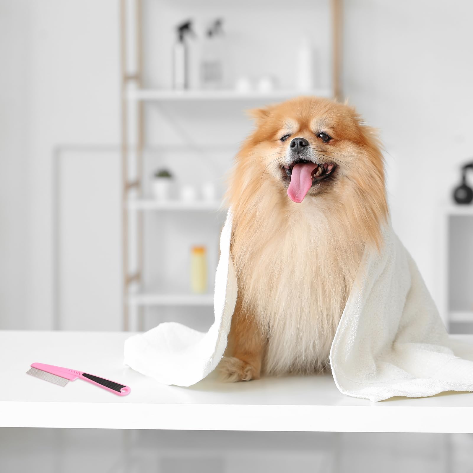 Jegtew coiffage-rapide-efficace donne un pelage brillant après chaque séance.