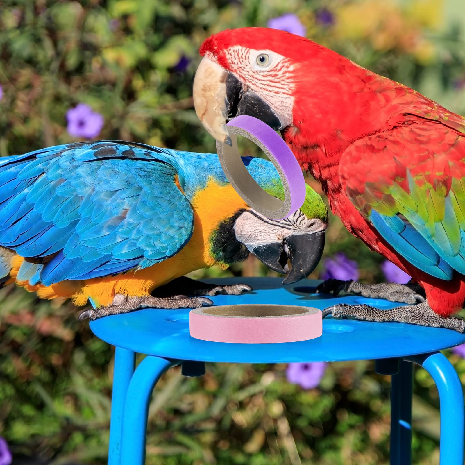 Jenaai jouet perroquet couleur rouge stimule la curiosité et le forage