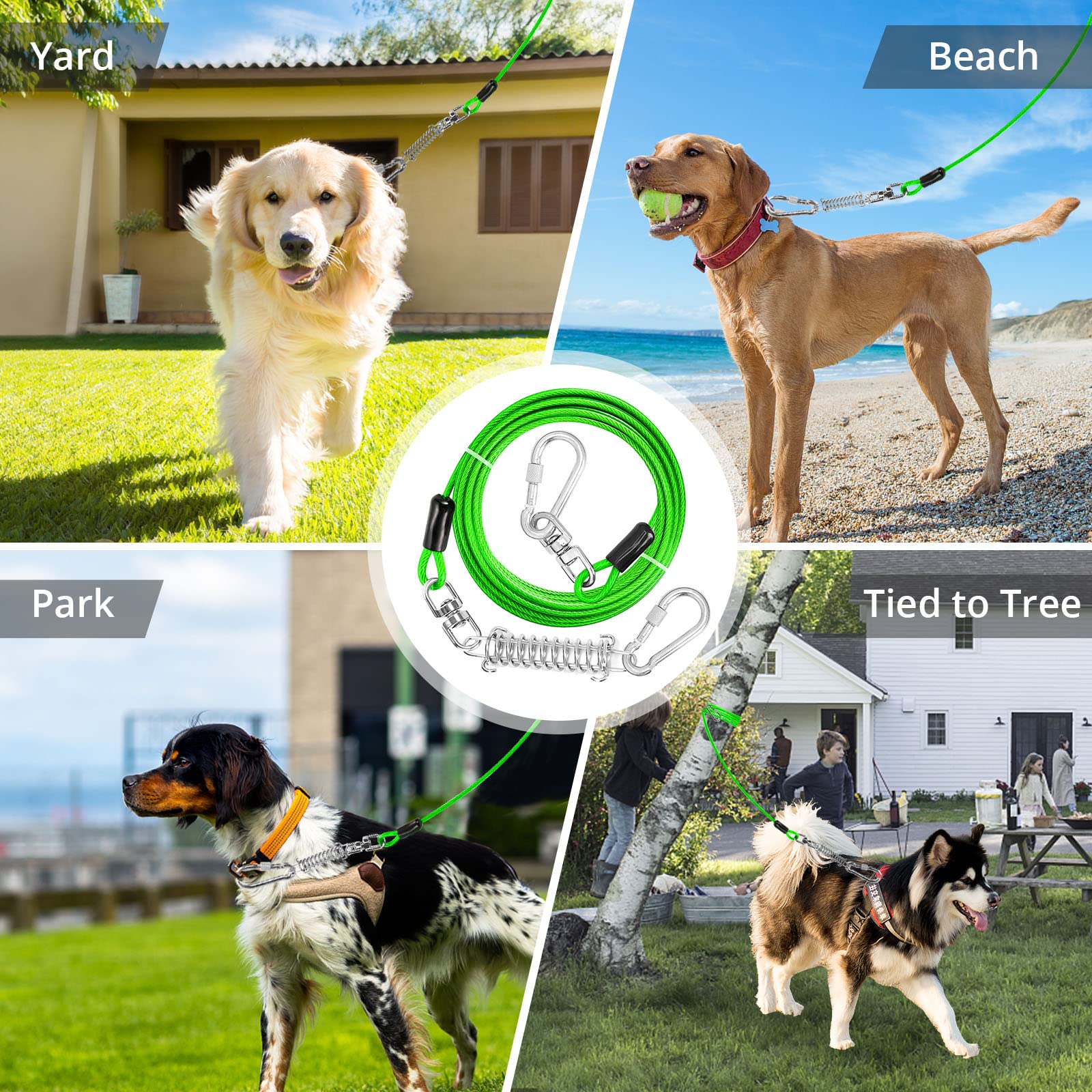 Jenico câble d'attache chien 70ft: sécurité étendue pour chiens actifs