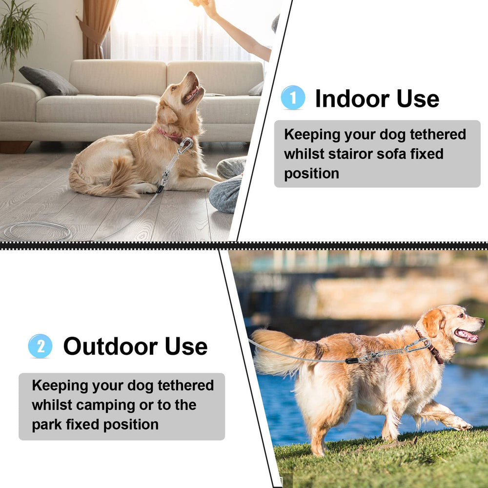 Jenico-câble-laisse-chien-50-pieds: rayon d’action plus grand pour parc et camping.