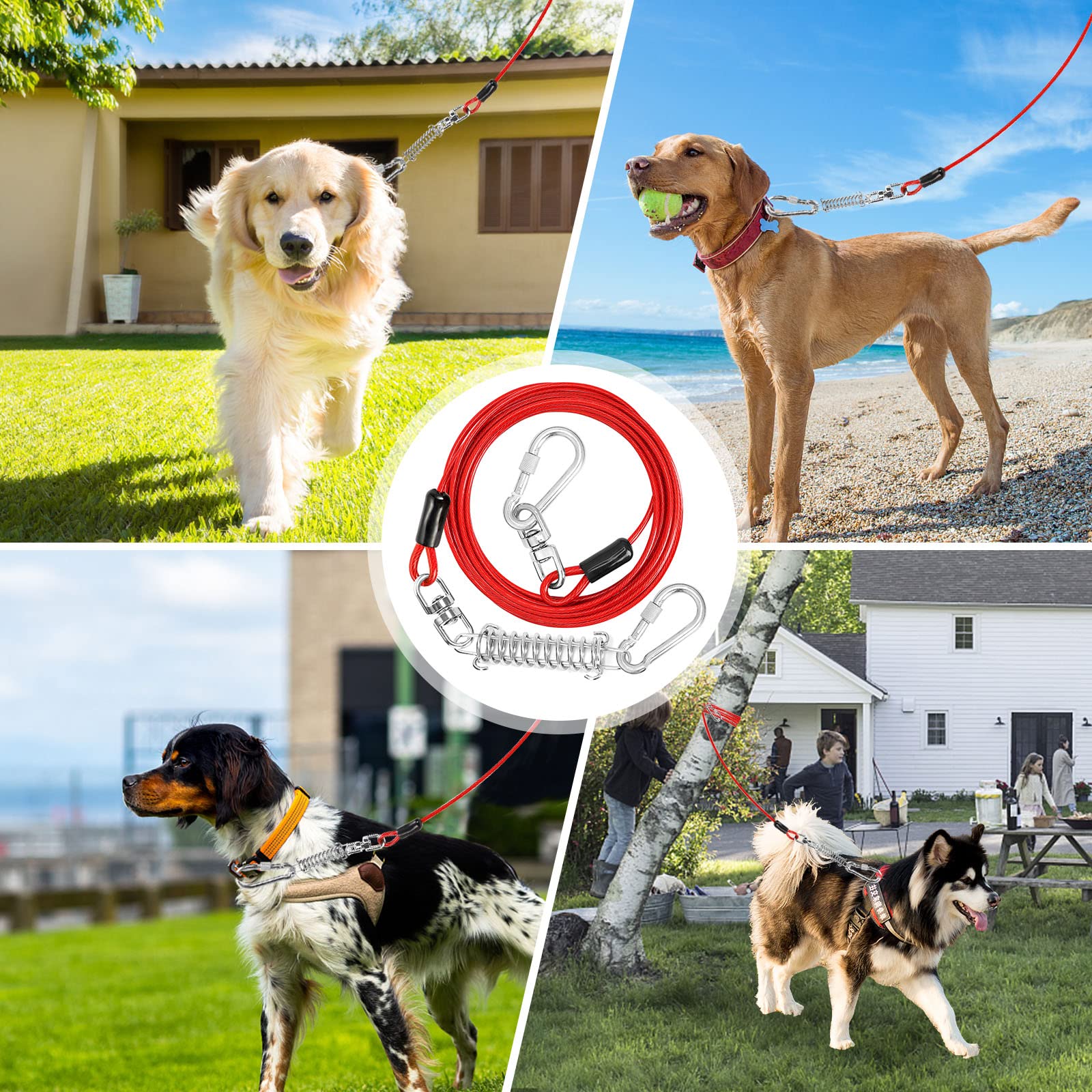 Jenico câble liaison chien 70 pieds, idéal pour chiens actifs et terrains variés.