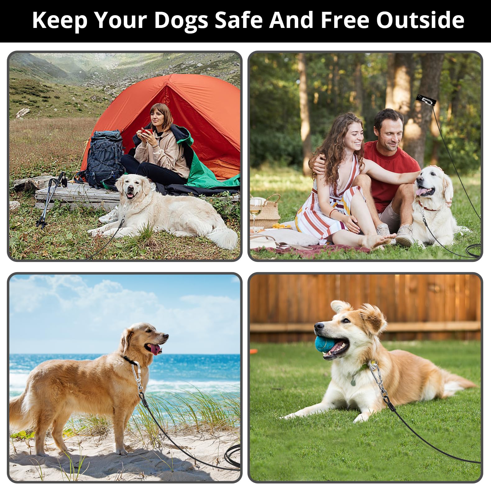 Jenico lien d'attache chien durable, résistant à la météo et aux jeux.