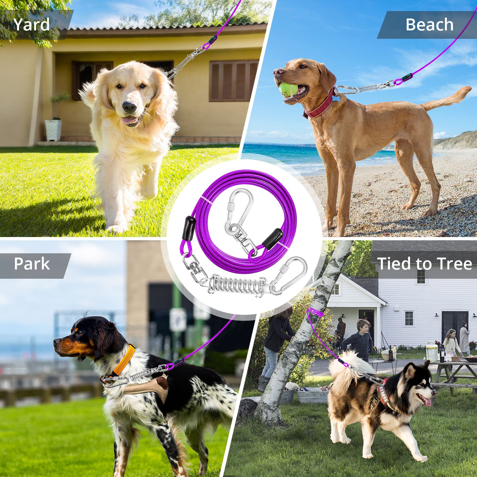 Jenico Longe extérieure légère, idéale pour petits chiens et activités en plein air.