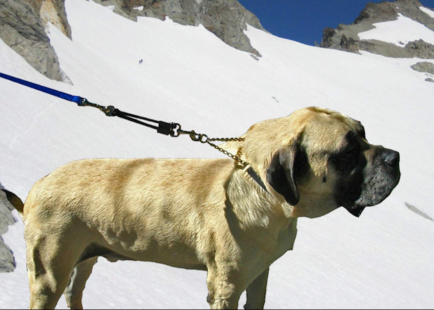 JERK-EASE tailles-disponibles: adapte quatre tailles pour tous les chiens.