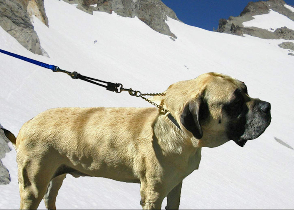 JERK-EASE tailles-disponibles: adapte quatre tailles pour tous les chiens.