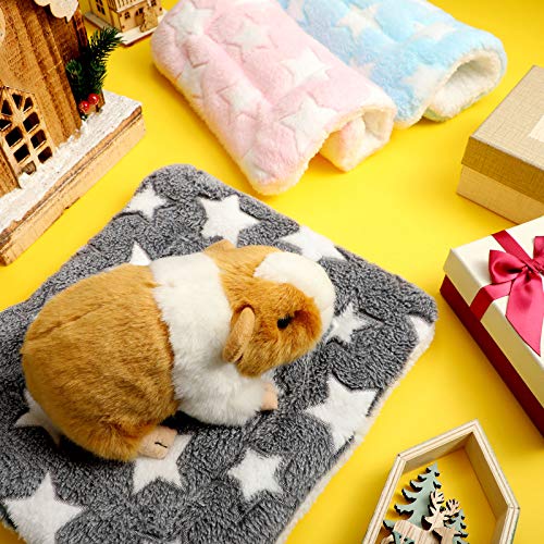 Jetec cadeau idéal pour familles avec animaux domestiques.