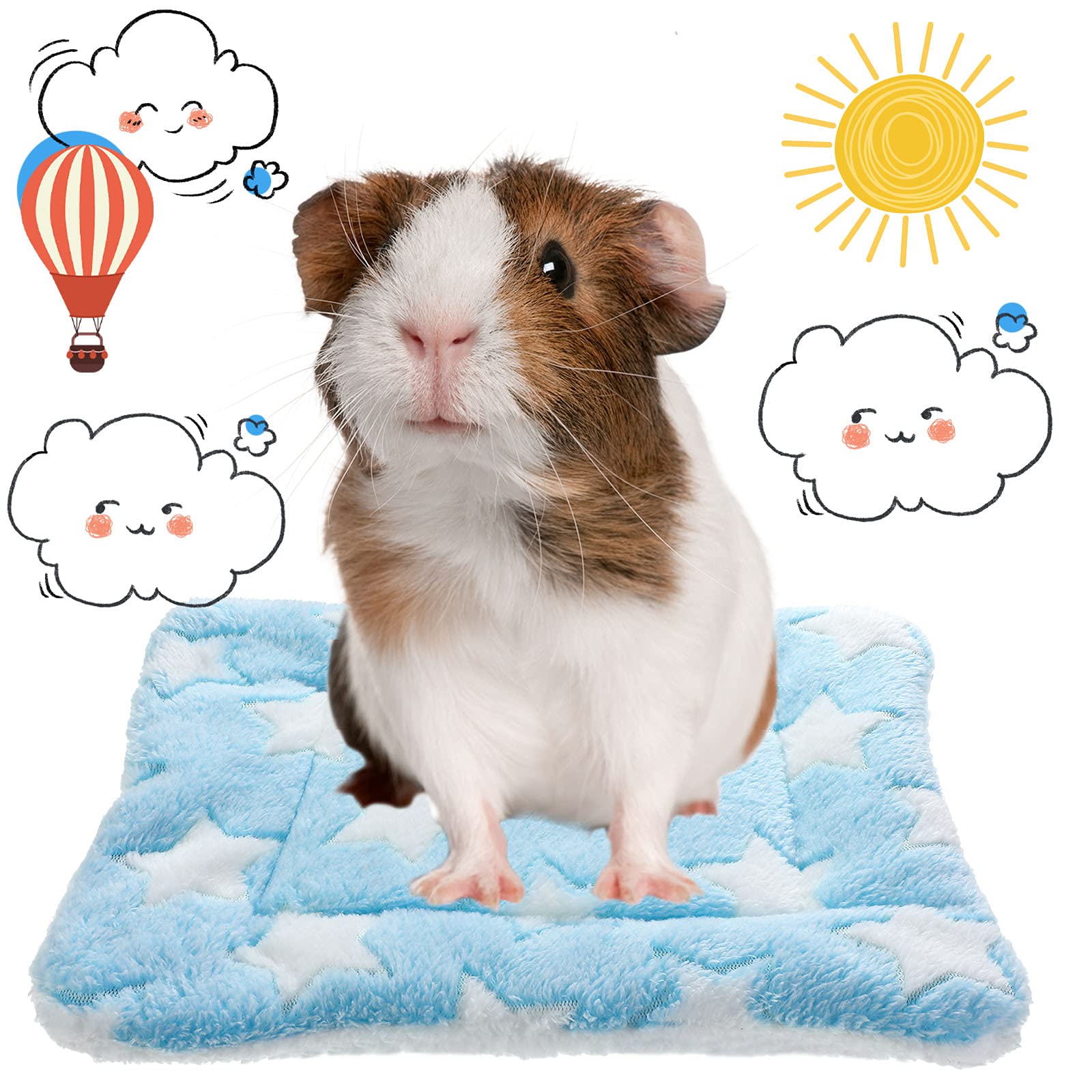 Jetec lavage facile et réutilisable des tapis pour animaux.
