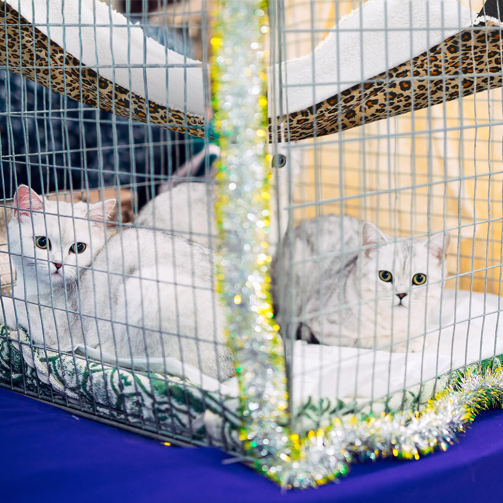 Jetec hamac pour chat motif pois, design agréable et confortable.