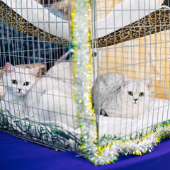 Jetec hamac pour chat motif pois, design agréable et confortable.