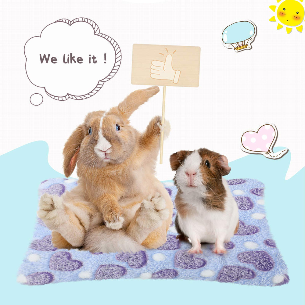 Jetec tapis cadeau confort pour amoureux des petits animaux et habitat.