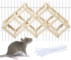 Jevnd bois grimpeur rat escalier — enrichissement et exercice en cage.