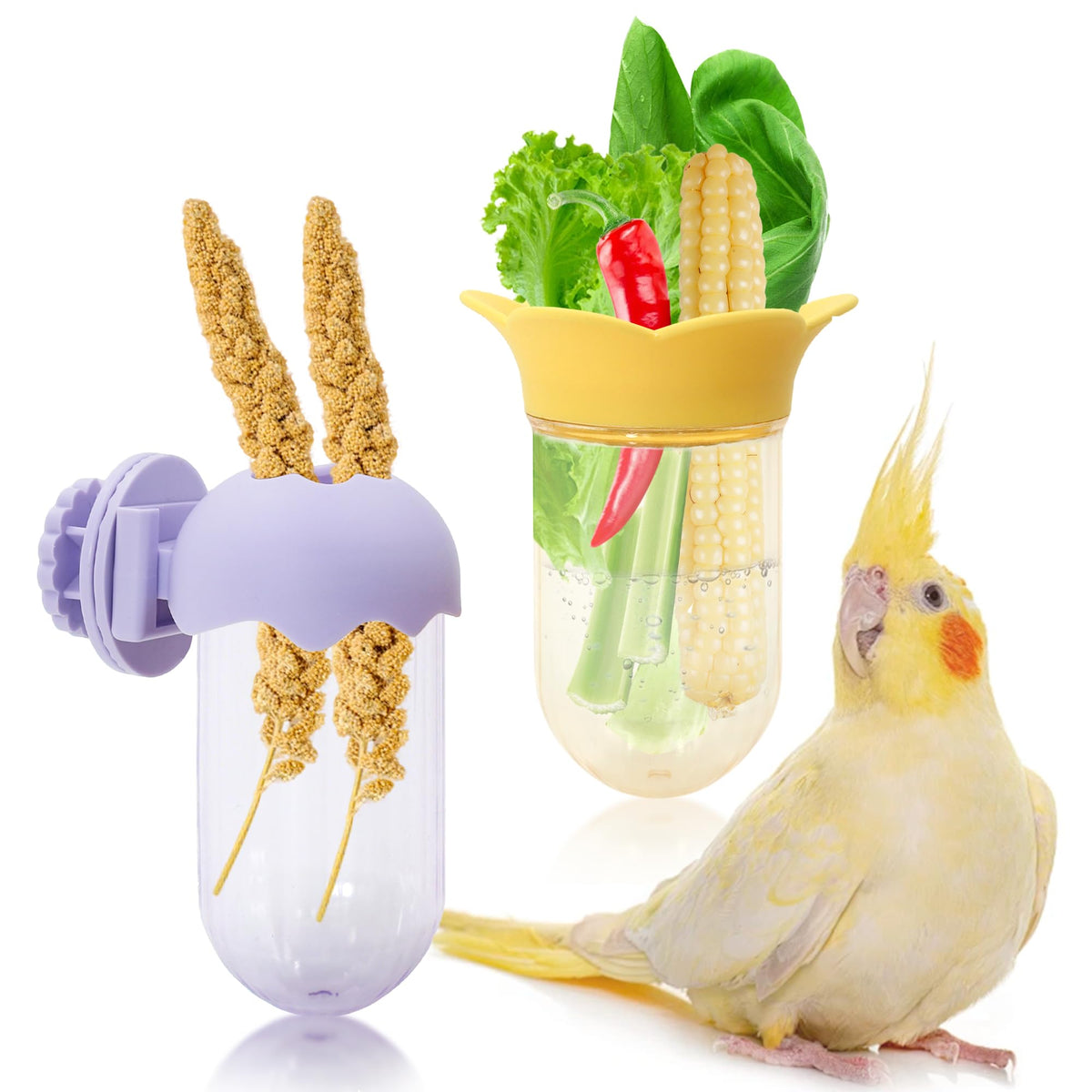 Jevnd distributeur-legumes cage: réservoir d'eau intégré pour légumes frais