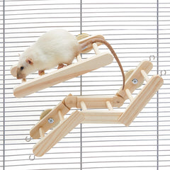 Jevnd échelle flexible en bois pour rats, parfaite pour grimper dans la cage.