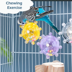 Jevnd jouet oiseau boucle spirale attache cage facilite l'installation.