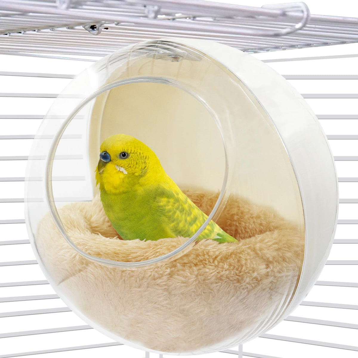 Nid d'observation Jevnd transparent offrant une vue claire pour surveiller vos oiseaux.