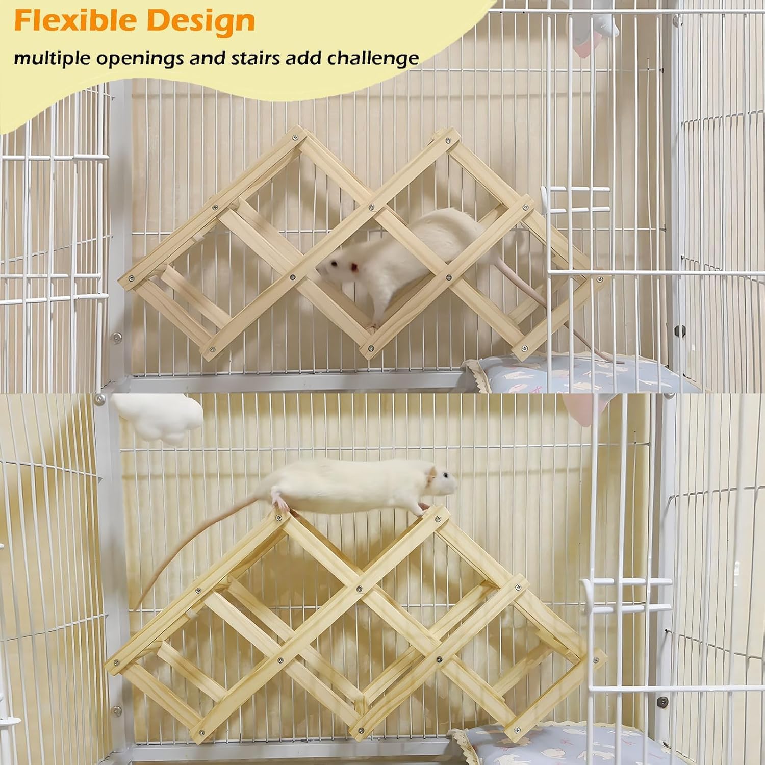 Jevnd rat grimpeur en action cage — amélioration de l'agilité.