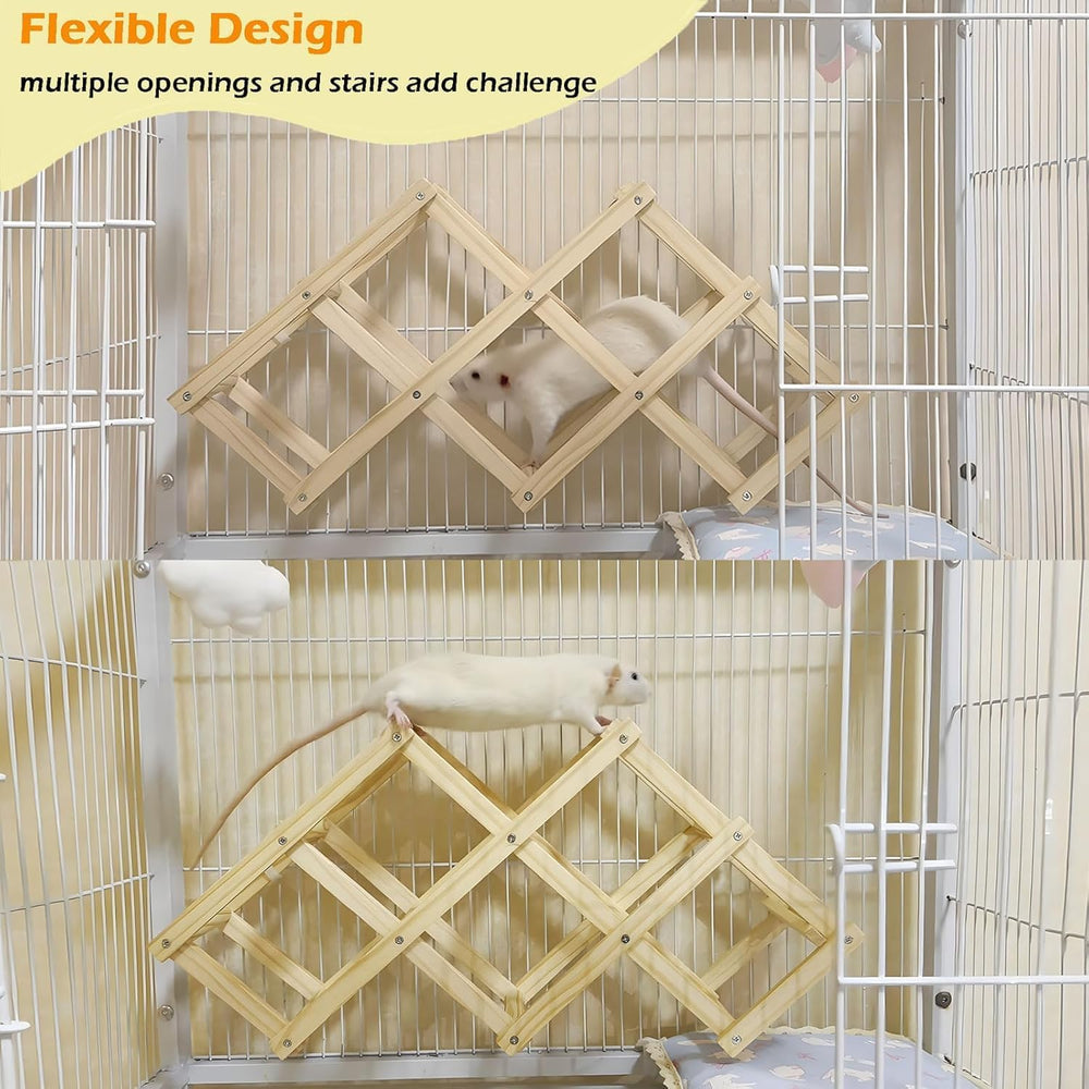 Jevnd rat grimpeur en action cage — amélioration de l'agilité.