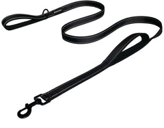 JEWOSTER Laisse avec 2 poignées rembourrées pour un meilleur contrôle lors des promenades.