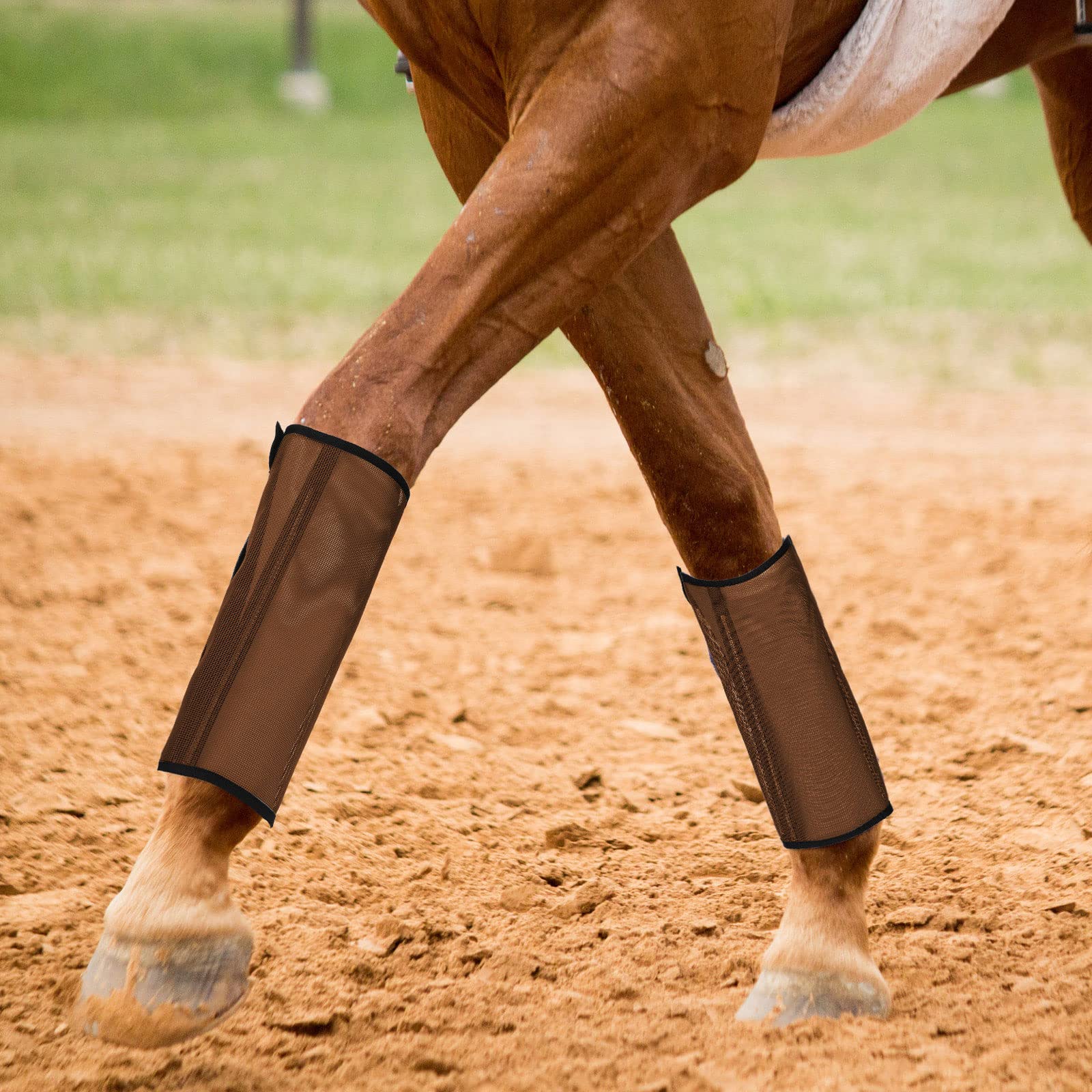 Bandes-jambes Jexine, protection respirante pour cheval, prévient piqûres et fatigue