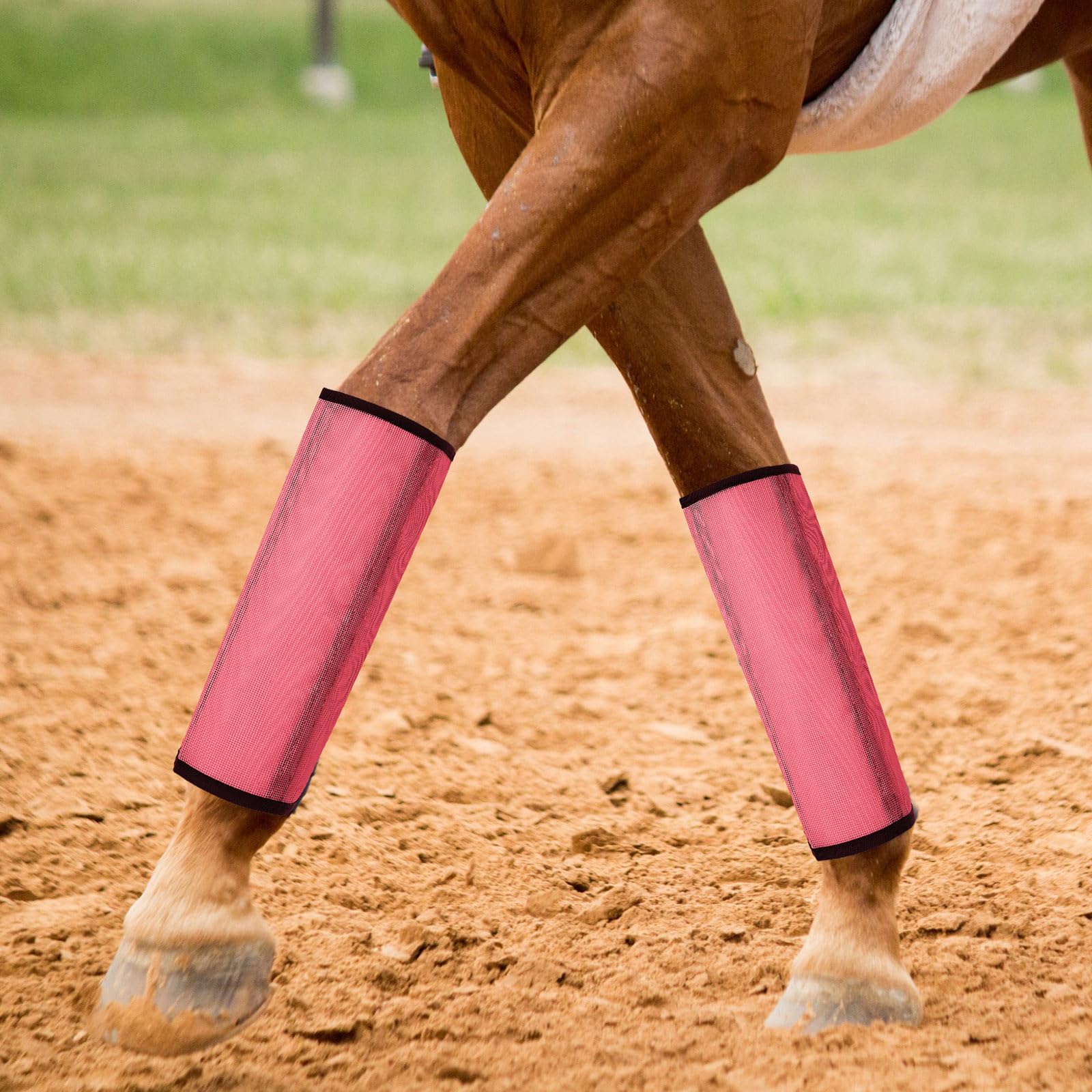 Bottes respirantes Jexine pour cheval, maillage léger et confortable.