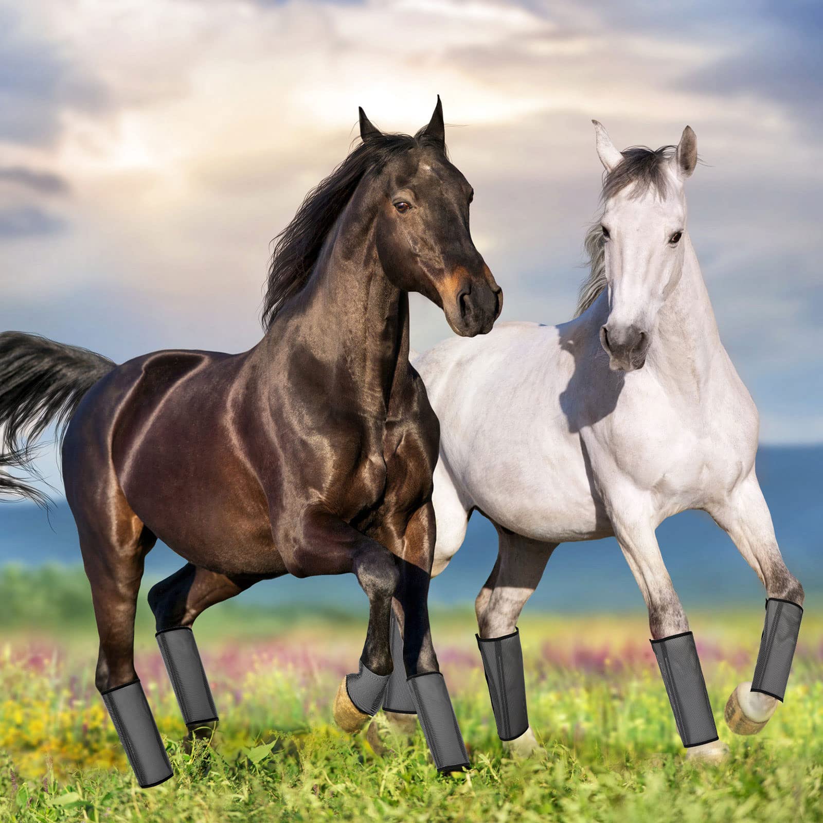 Ensemble 12 bottes Jexine, faciles à laver et réutilisables