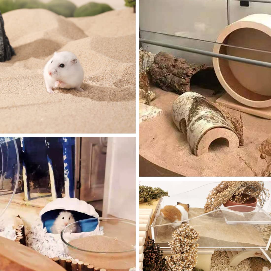 JFWOD sable bain gerbilles – texture naturelle pour le nettoyage.