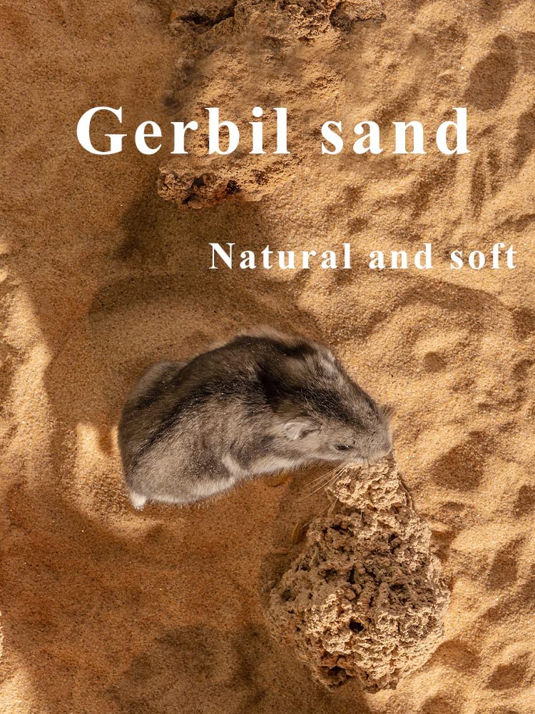 Sable de bain JFWOD, moment de detente et jeu pour hamster.