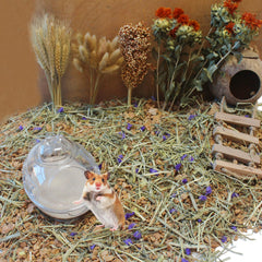 JFWOD sable bain petits animaux – idéal pour gerbilles et hamsters.