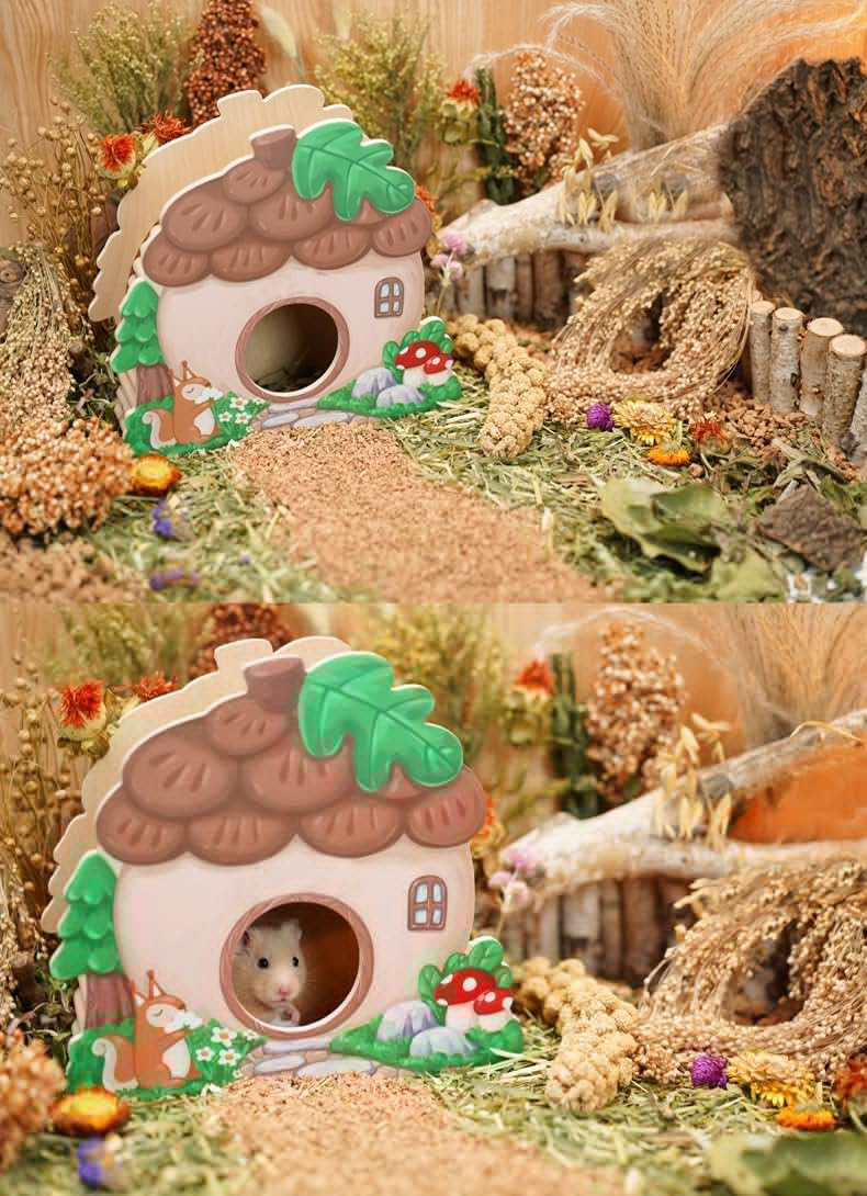 JFWOD accessoires pour petits animaux favorisant habitat sain