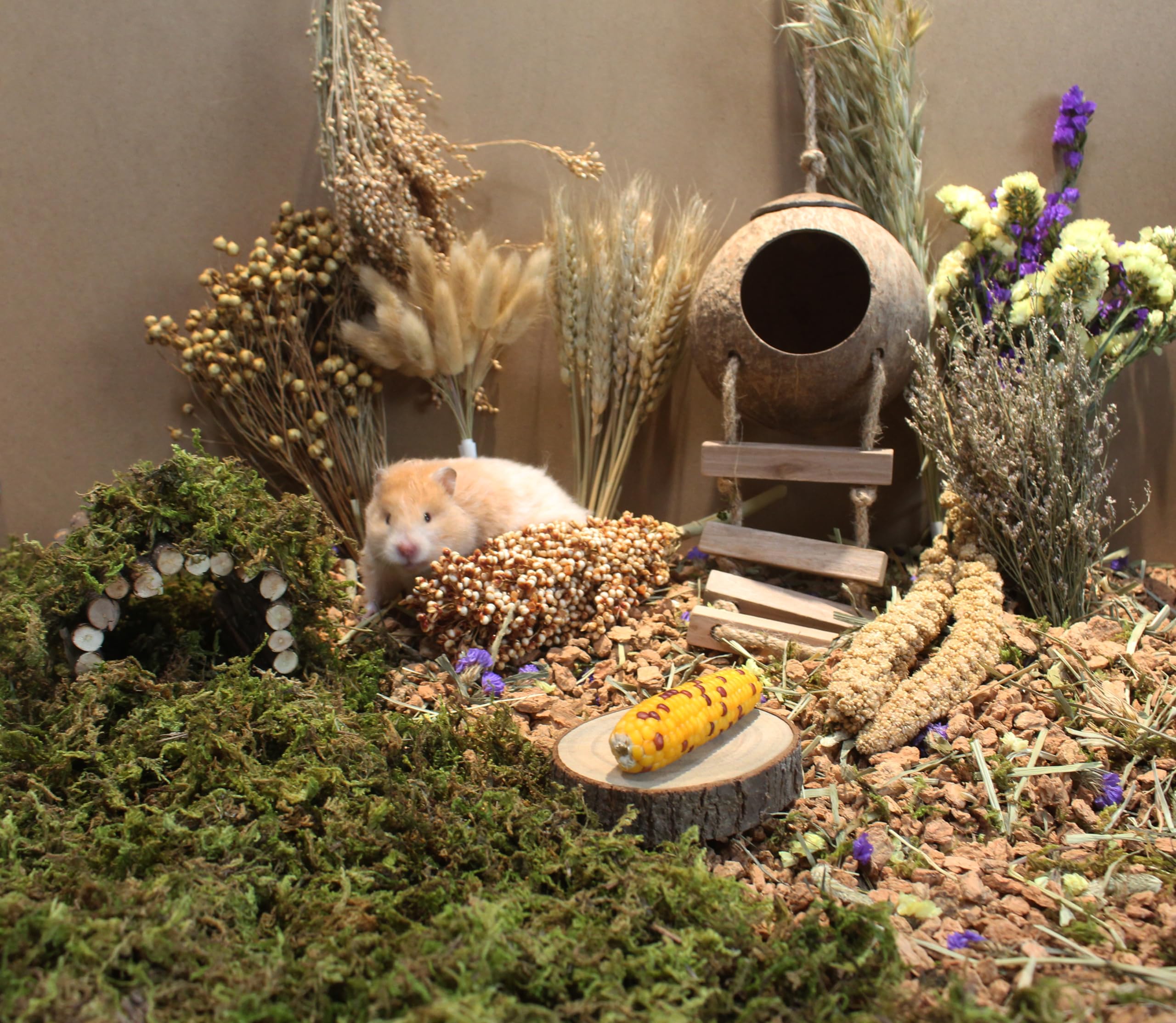 JFWOD décor cage thème naturel pour un habitat attractif