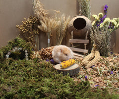 JFWOD mélange céréales hamster stimulant l’activité quotidienne