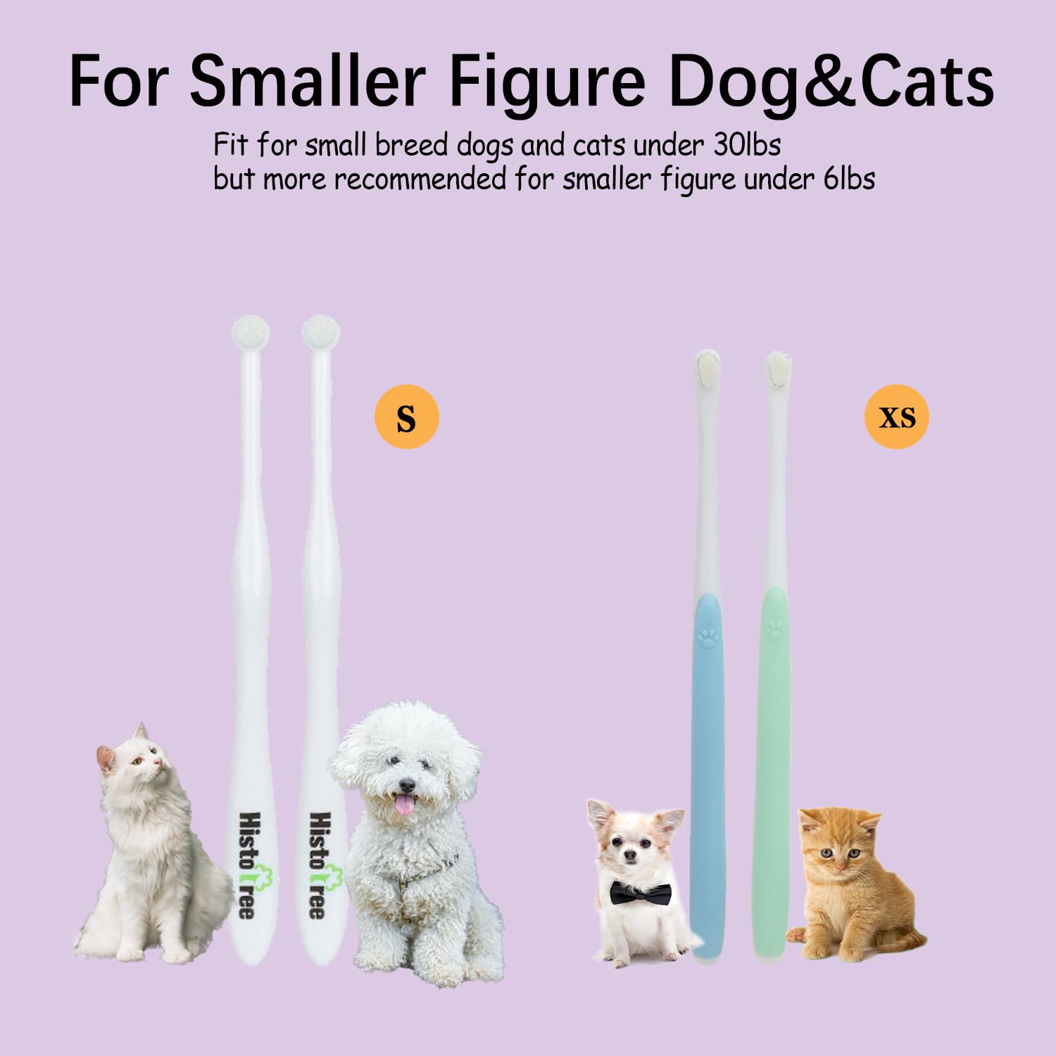 Conçue pour chiots et chats miniatures, routine dentaire sûre avec JGocot.