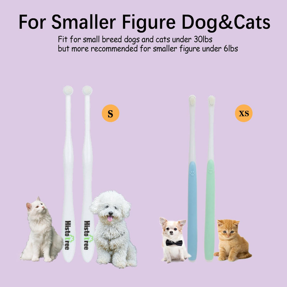 Conçue pour chiots et chats miniatures, routine dentaire sûre avec JGocot.