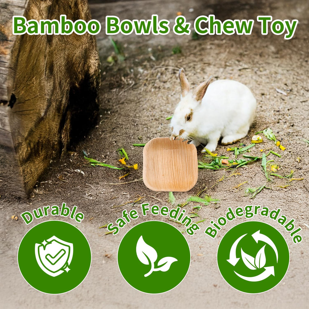 Jiaxix bol palme carré 4 pouces, parfait pour l’enclos intérieur des petits animaux.