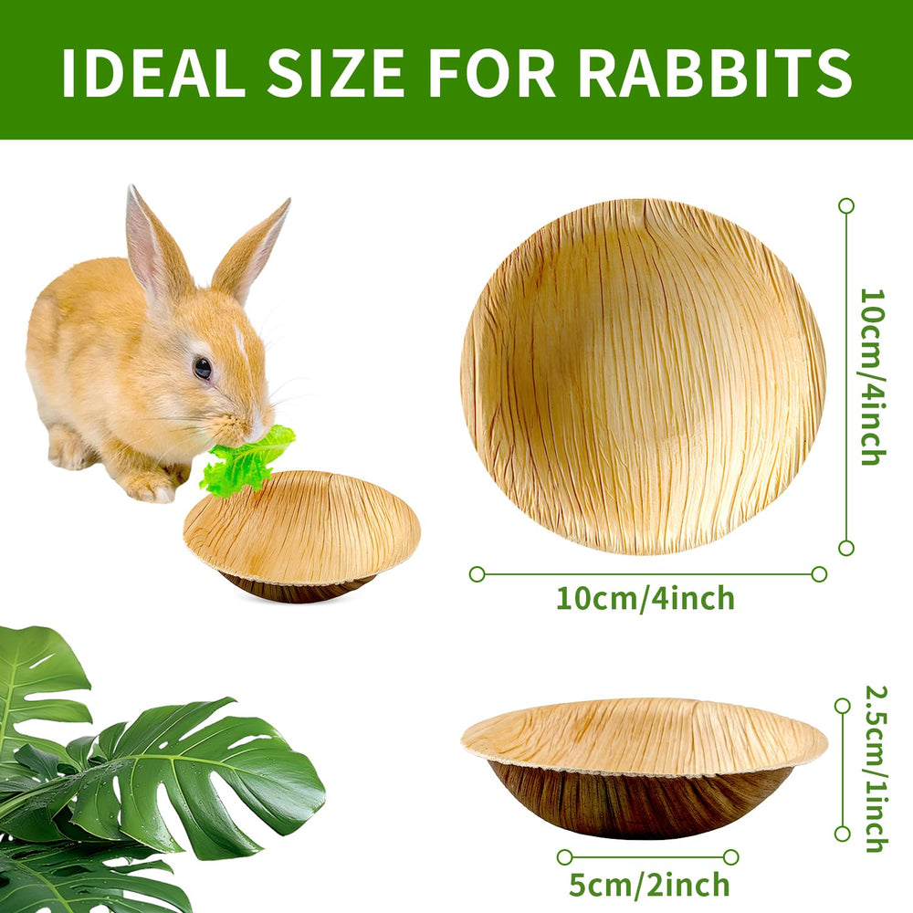 Bol palmier Jiaxix jetable et durable pour petits animaux