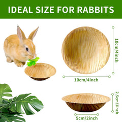 Bol palmier Jiaxix jetable et durable pour petits animaux
