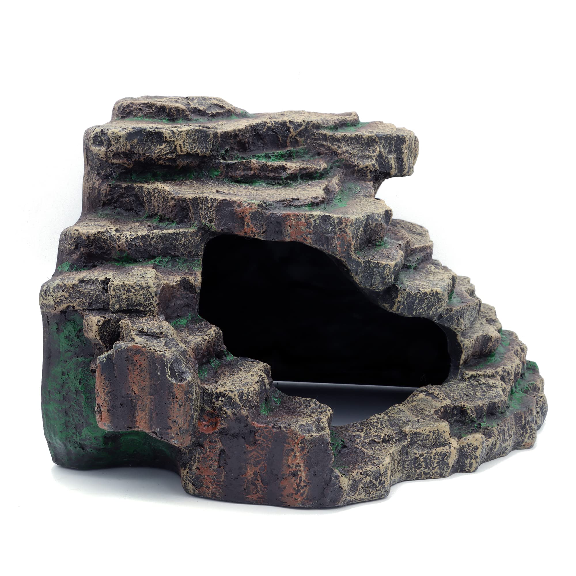 JIHAQUA Decor-tanque barbu dragon extragrand intimité, design natu rel