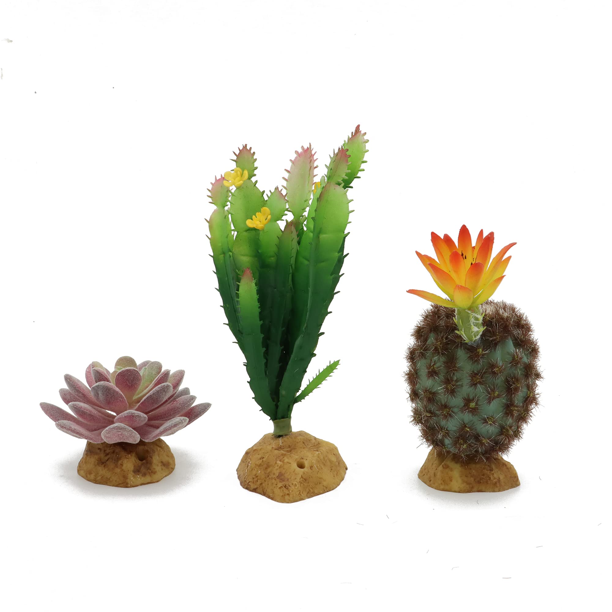 JIHAQUA plantes artificielles succulentes pour terrarium, couleur durable et texture réaliste.