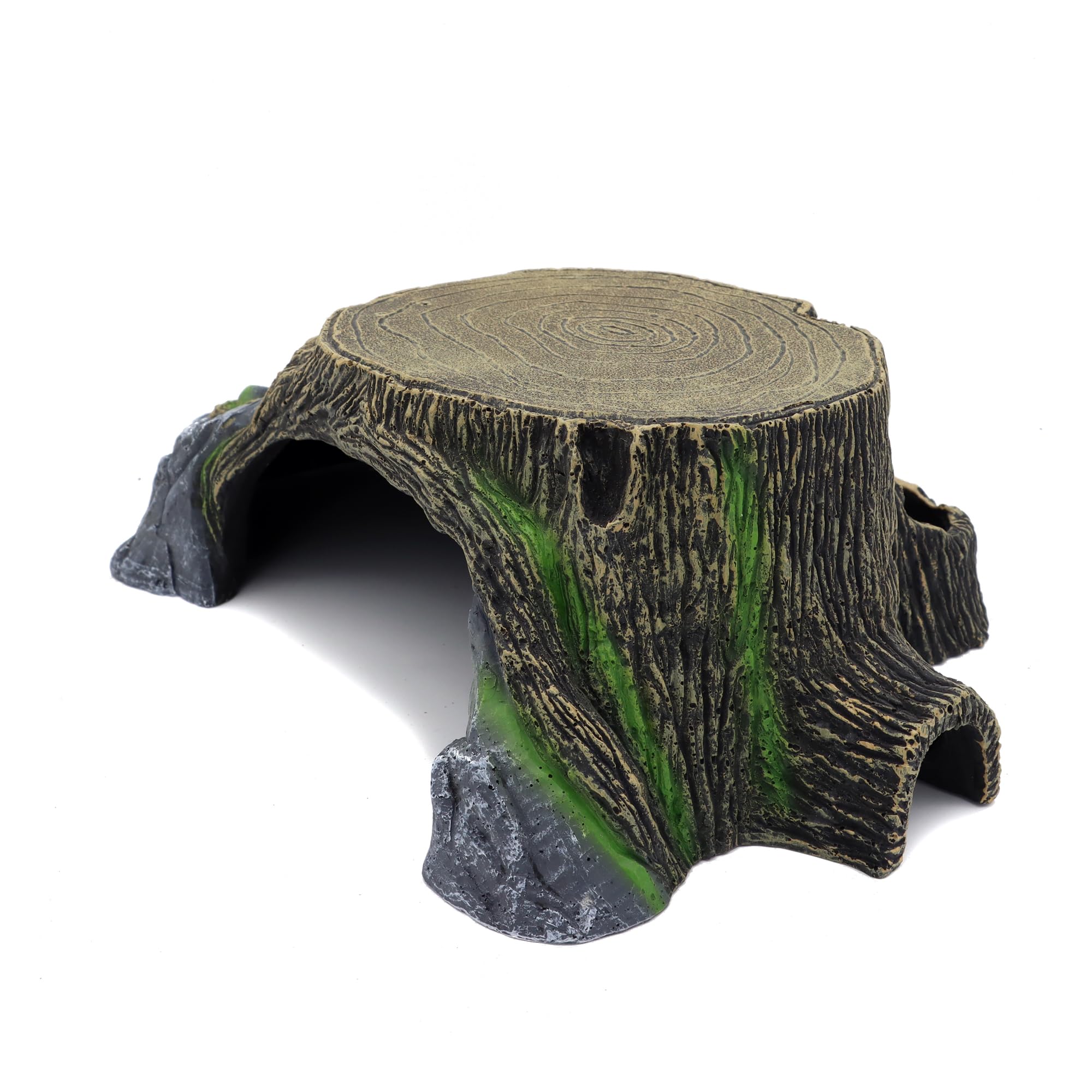 Jihaqua décor terrarium naturel, idéal pour terrariums et aquariums.