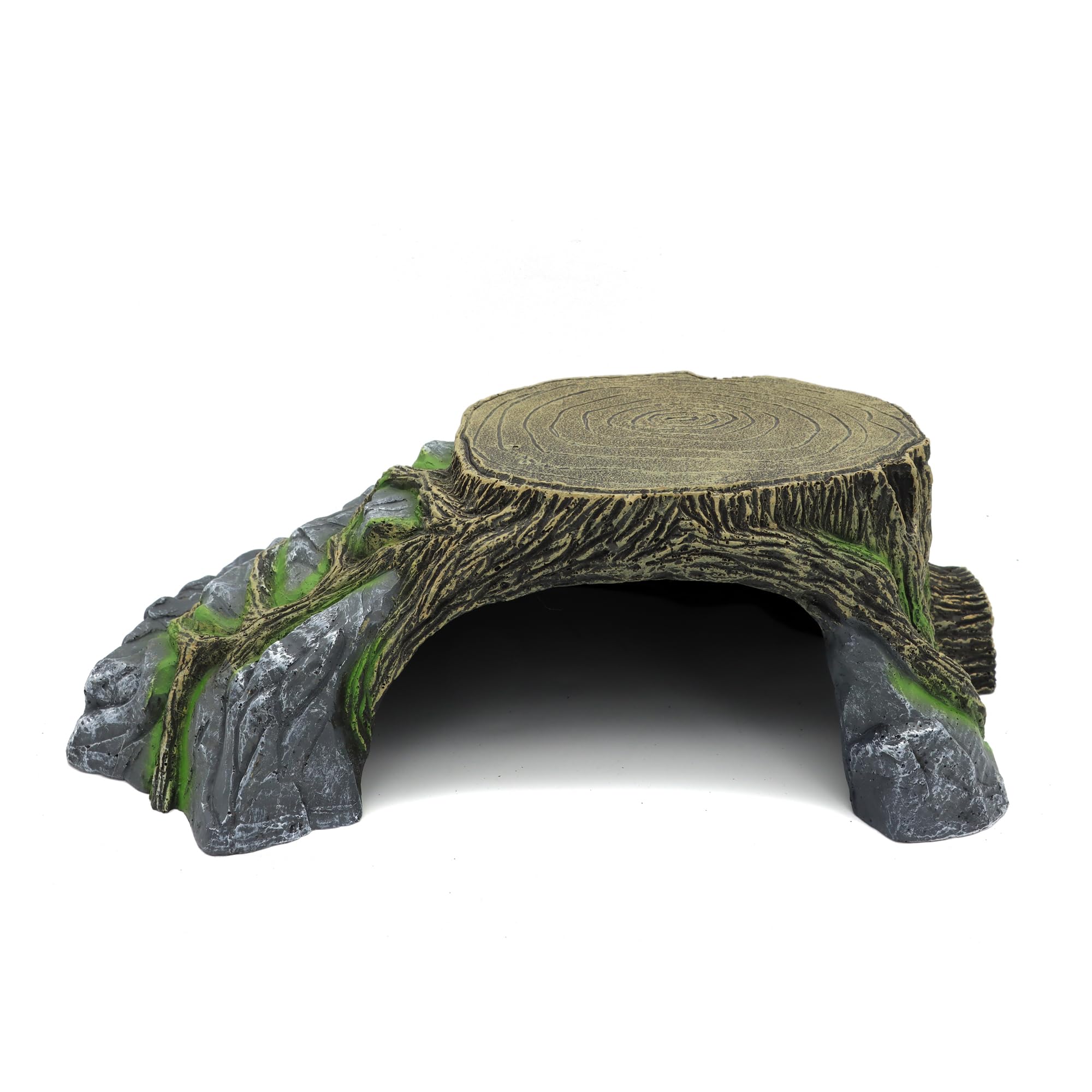Jihaqua accessoire décoratif pour terrarium, polyvalent et discret.