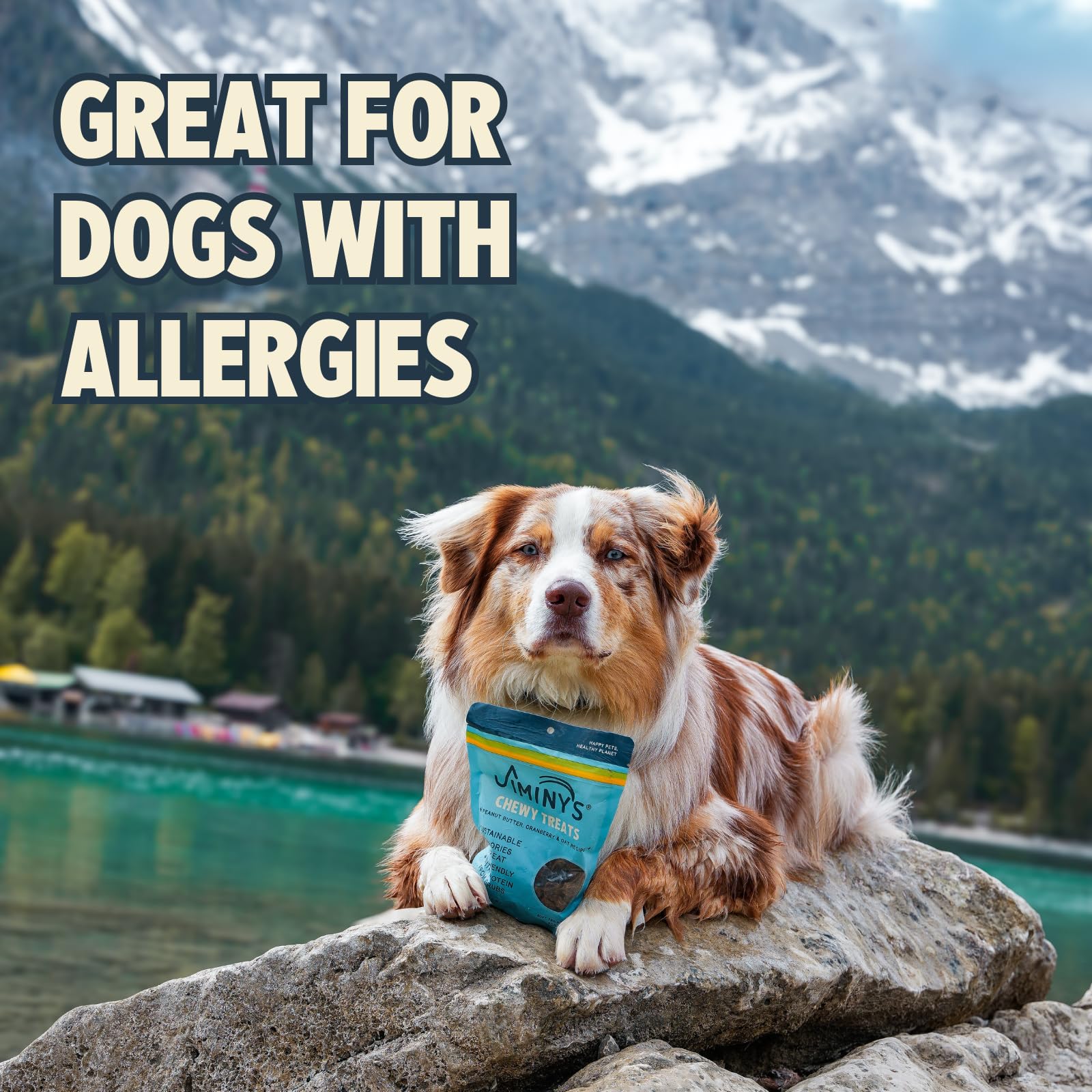 Jiminy's Chewy Training Treats, forme idéale entrainement, rapide pour capter l'attention du chien.