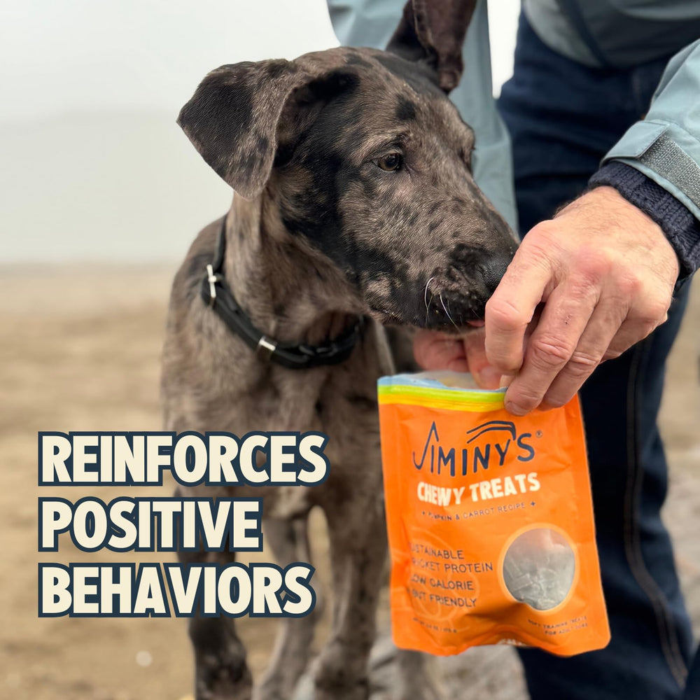 Jiminy's formule hypoallergénique pour chiens sensibles, sans allergènes fréquents.