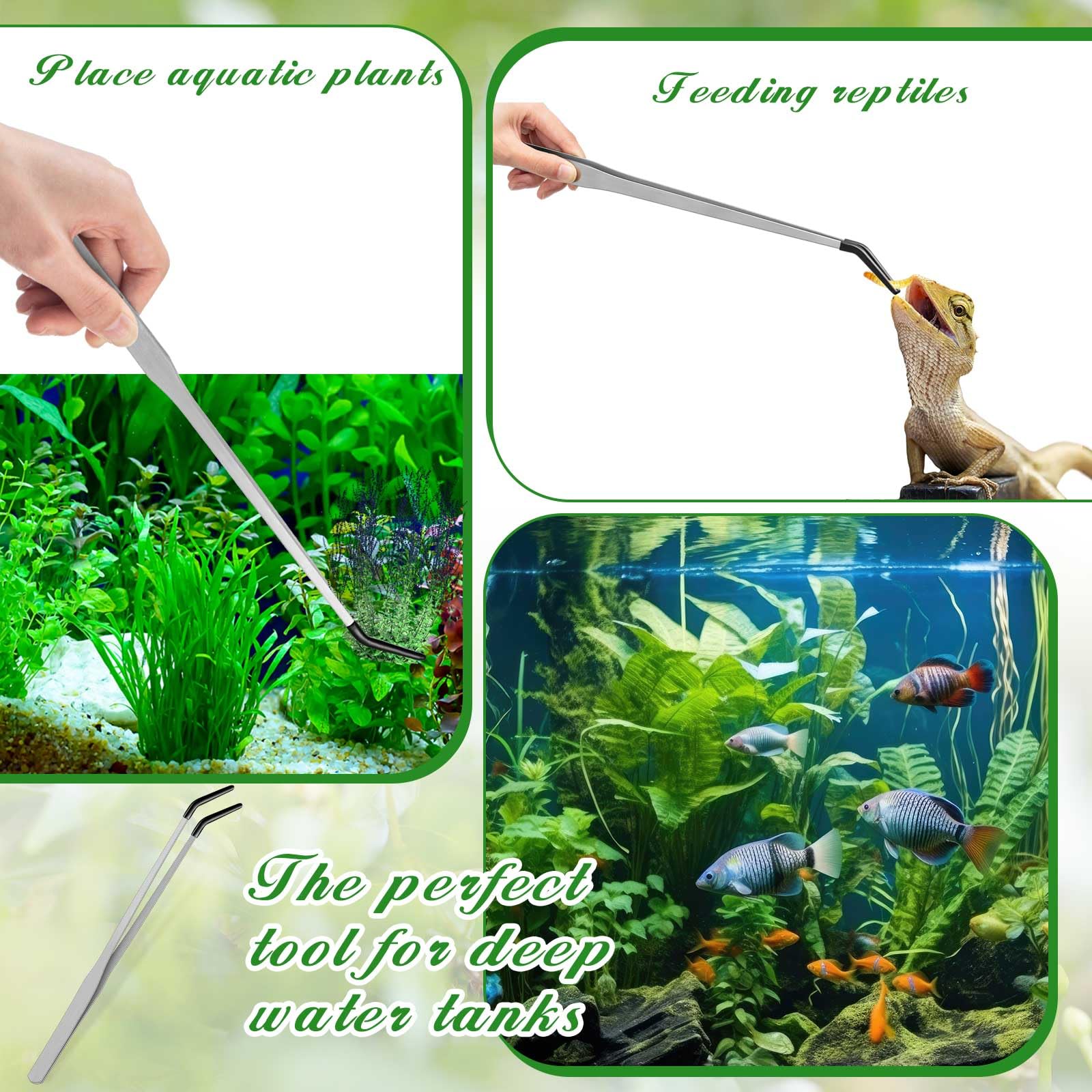 Utilisation dans terrarium avec Jingmore, repas simplifiés pour reptiles.